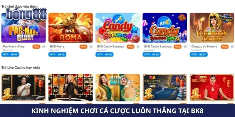 Kinh nghiệm chơi cá cược luôn thắng tại Bk8